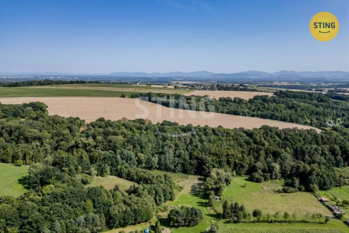 Prodej pozemku pro bydlení, Zbyslavice, 5573 m2