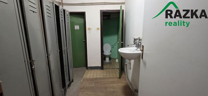 Pronájem výrobních prostor, Planá, 249 m2