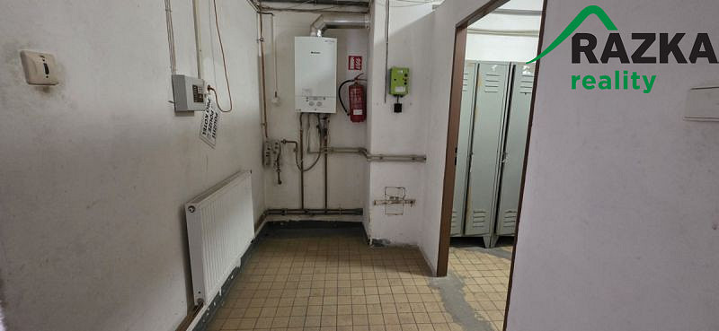 Pronájem výrobních prostor, Planá, 249 m2