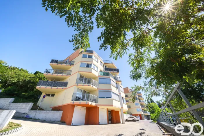 Prodej bytu 2+kk, Mladá Boleslav, Laurinova, 62 m2