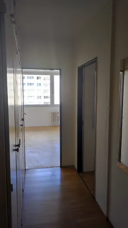 Prodej obchodního prostoru, Praha, Wenzigova, 52 m2