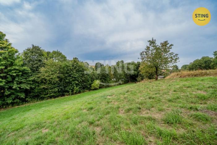 Prodej vícegeneračního domu, Potštát - Kovářov, 190 m2