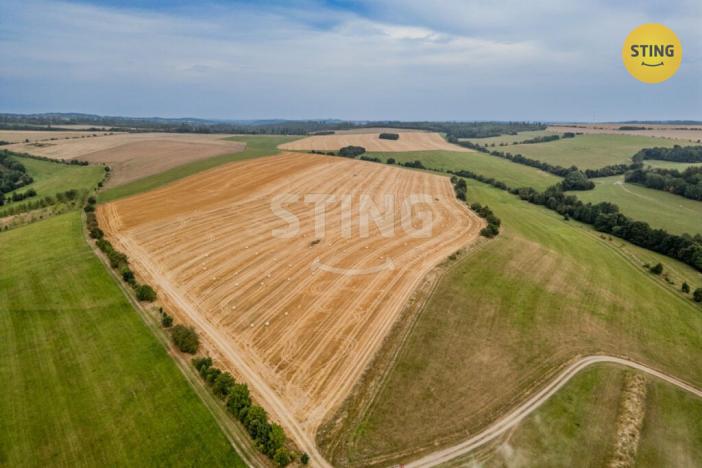 Prodej vícegeneračního domu, Potštát - Kovářov, 190 m2