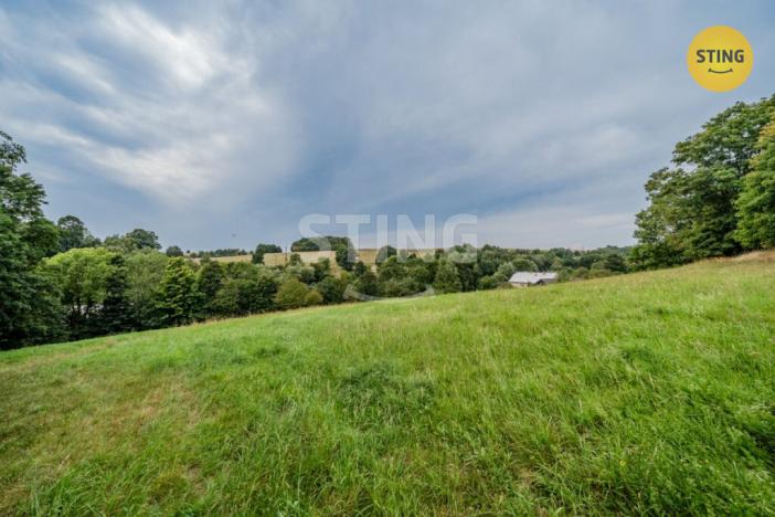 Prodej vícegeneračního domu, Potštát - Kovářov, 190 m2