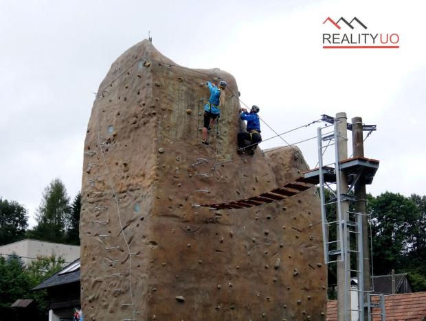 Prodej komerční, Ústí nad Orlicí - Oldřichovice, Staré Oldřichovice, 3706 m2