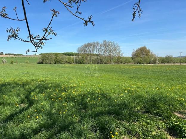 Prodej pozemku pro bydlení, Břasy, 6448 m2