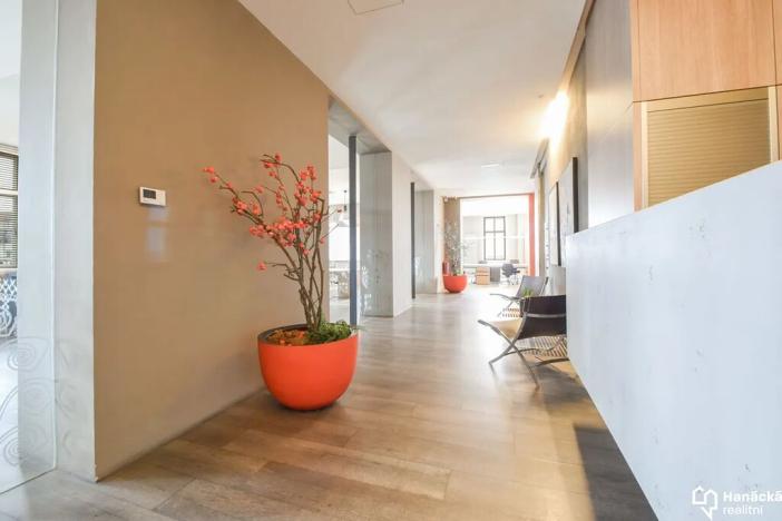 Pronájem kanceláře, Olomouc, tř. Svobody, 420 m2