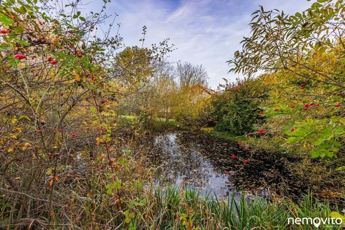 Prodej zemědělské usedlosti, Klokočná, 555 m2