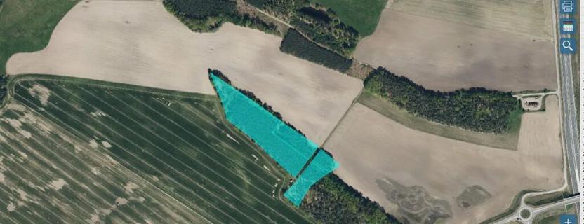 Prodej lesa, Rokytno, 44040 m2