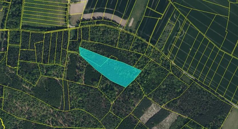 Prodej lesa, Jankovice, 18361 m2