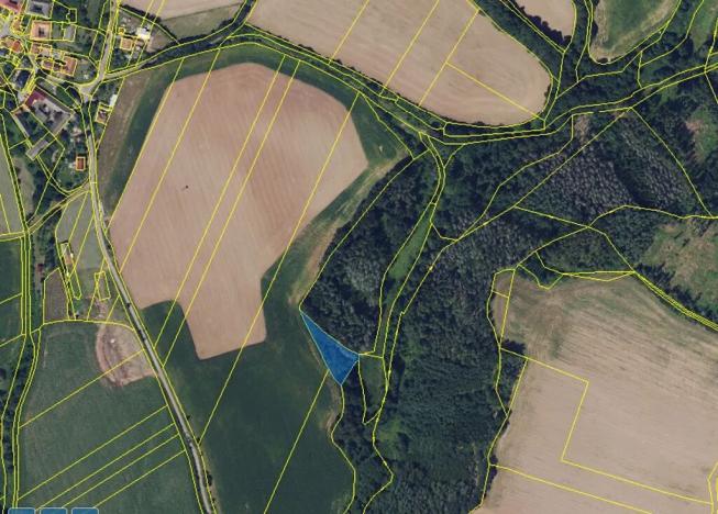 Prodej lesa, Letovice, 1894 m2