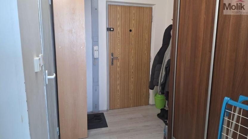 Prodej bytu 2+kk, Teplice - Prosetice, Rovná, 40 m2