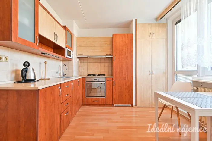 Pronájem bytu 1+1, Brno, Horácké náměstí, 45 m2