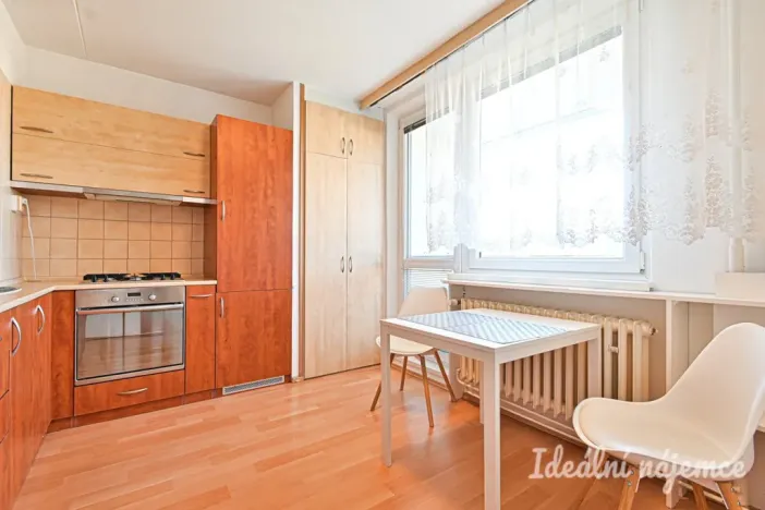 Pronájem bytu 1+1, Brno, Horácké náměstí, 45 m2