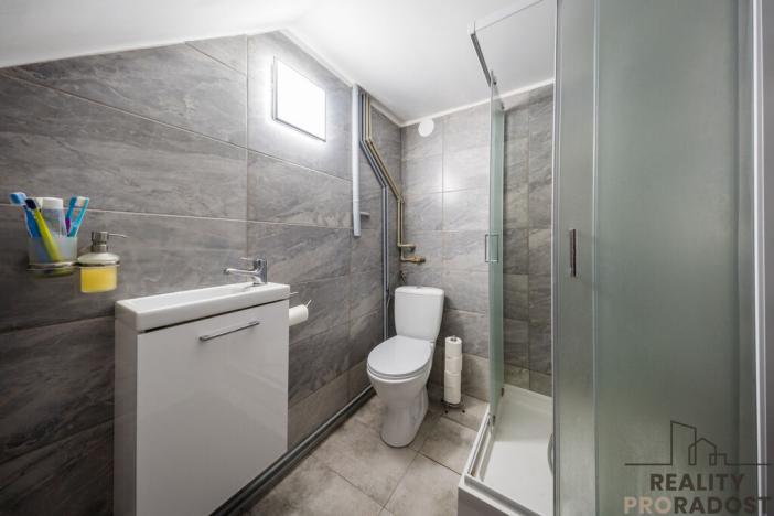 Prodej vícegeneračního domu, Hodonín, Komenského, 242 m2