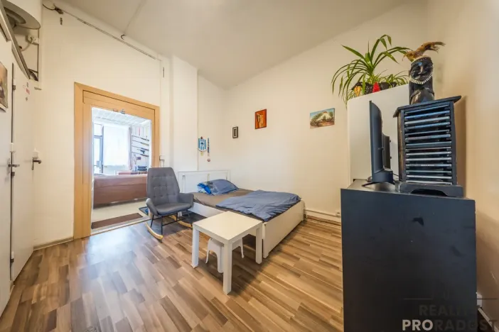 Prodej vícegeneračního domu, Hodonín, Komenského, 242 m2