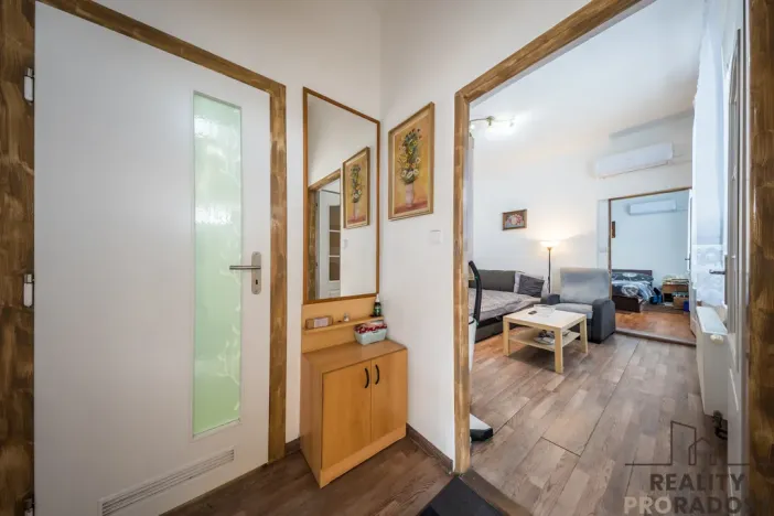 Prodej vícegeneračního domu, Hodonín, Komenského, 242 m2