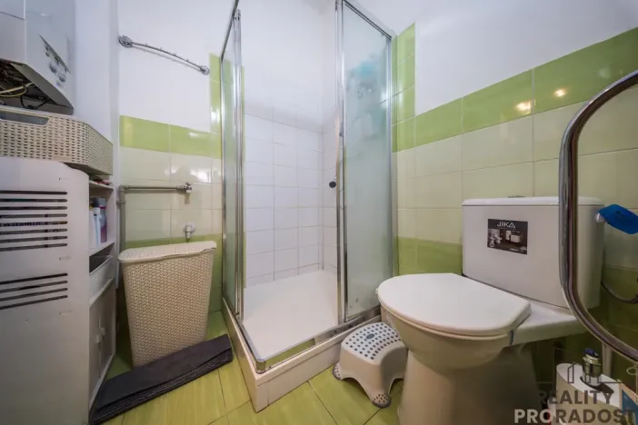 Prodej vícegeneračního domu, Hodonín, Komenského, 242 m2