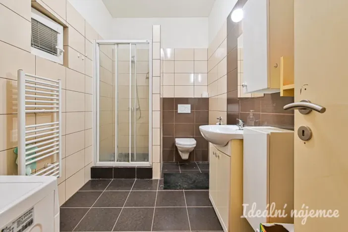 Pronájem bytu 1+1, Brno, Francouzská, 48 m2