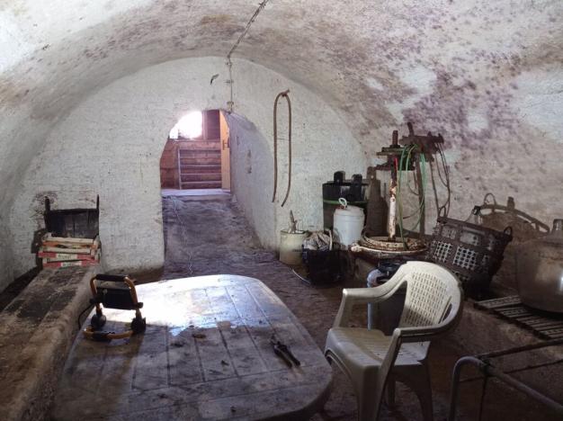 Prodej vinného sklepa, Novosedly, 42 m2