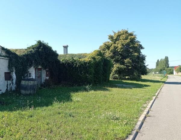 Prodej vinného sklepa, Novosedly, 42 m2