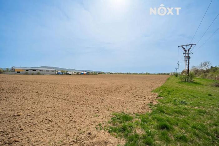 Prodej komerčního pozemku, Zábřeh, Lesnická, 16000 m2