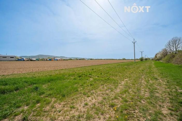 Prodej komerčního pozemku, Zábřeh, Lesnická, 16000 m2