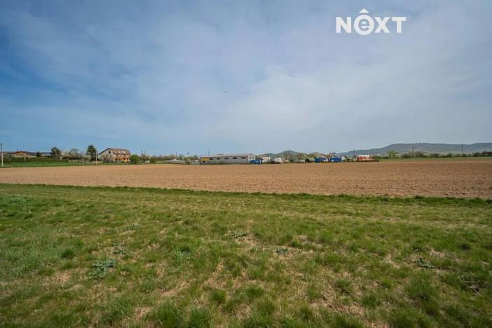 Prodej komerčního pozemku, Zábřeh, Lesnická, 16000 m2