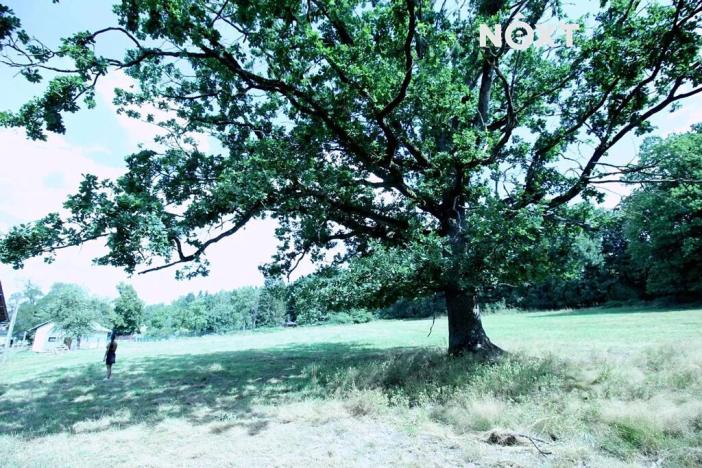 Prodej pozemku pro bydlení, Nemanice, 2700 m2