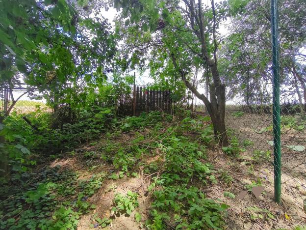 Prodej chaty, Kvasice, Bělovská, 196 m2