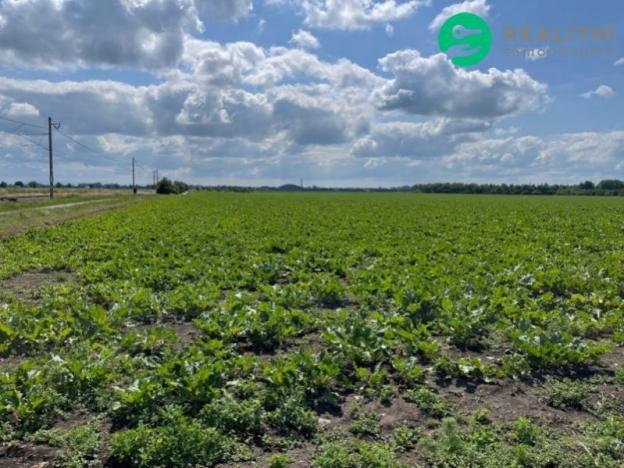 Prodej pole, Prostějov, 13852 m2