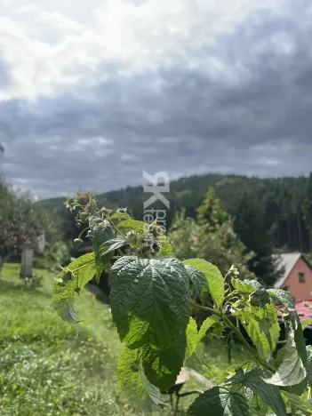 Prodej chaty, Vsetín, Dlúhé, 23 m2