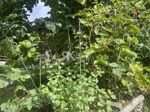 Prodej chaty, Vsetín, Dlúhé, 23 m2