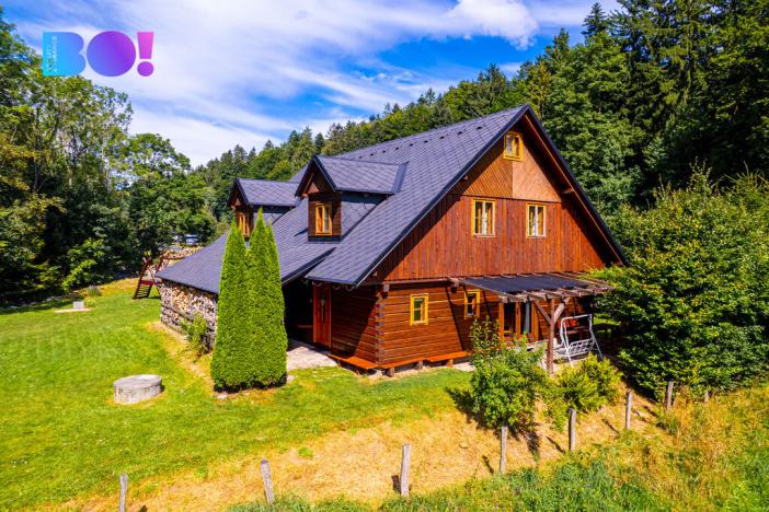 Prodej chalupy, Dolní Morava - Velká Morava, 315 m2