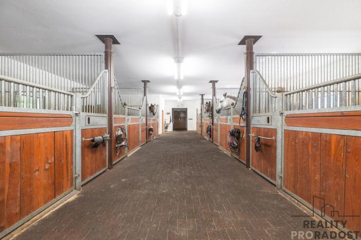 Prodej komerční nemovitosti, Brno - Holásky, Písníky, 2728 m2