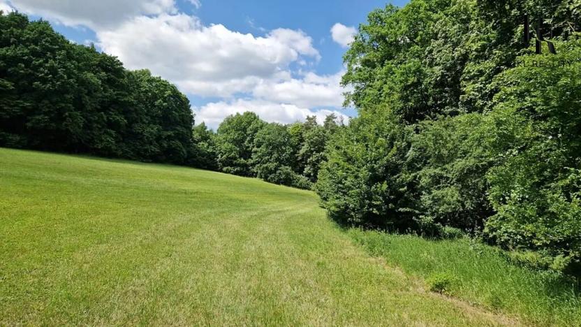 Prodej lesa, Bílá Lhota, 694 m2