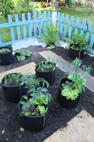 Prodej chaty, Chabařovice, Náměstí 9. května, 11 m2