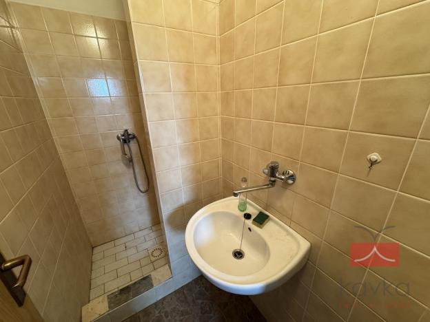 Prodej komerční nemovitosti, Zruč nad Sázavou - Nesměřice, 1095 m2