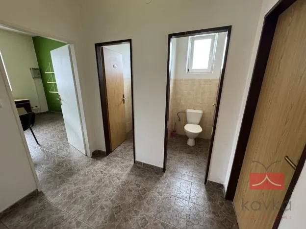 Prodej komerční nemovitosti, Zruč nad Sázavou - Nesměřice, 1095 m2