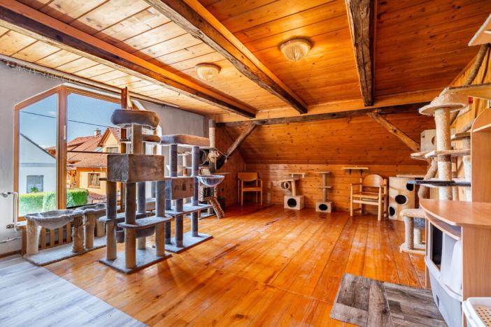 Prodej rodinného domu, Bor - Holostřevy, 270 m2