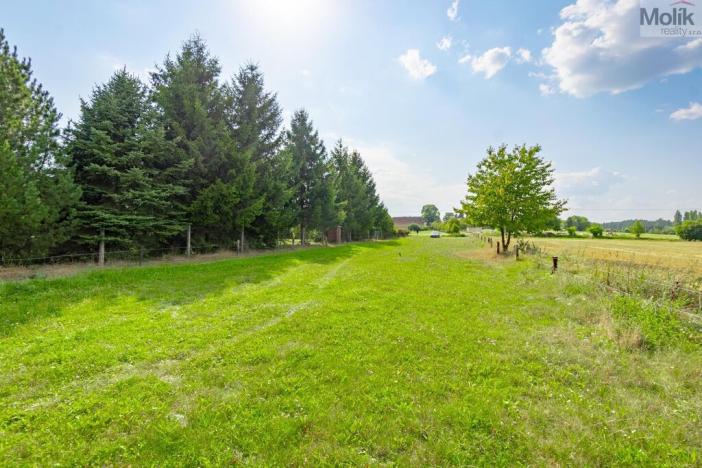 Prodej pozemku pro bydlení, Velký Bor, 921 m2