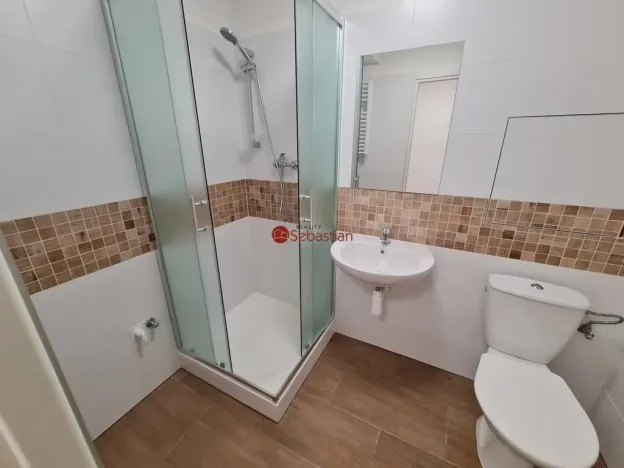 Pronájem bytu 1+1, Teplice - Trnovany, Antonína Sochora, 36 m2