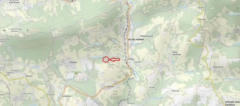 Prodej lesa, Plavy, 1810 m2