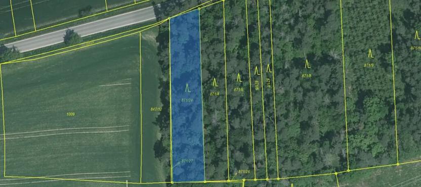 Prodej lesa, Hradiště, 3845 m2