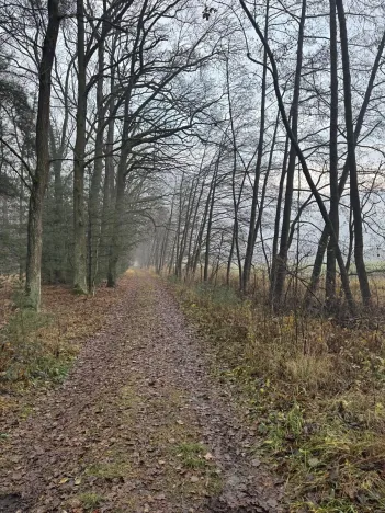 Prodej podílu lesa, Břehy, 5148 m2