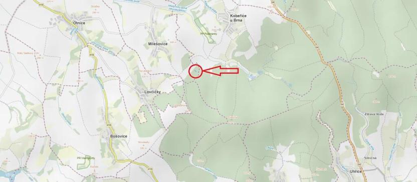 Prodej lesa, Milešovice, 1351 m2