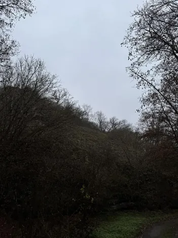 Prodej podílu lesa, Praha, 4596 m2