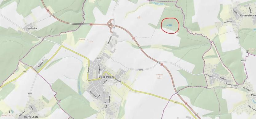 Prodej lesa, Velká Polom, 3342 m2