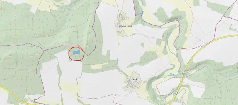 Prodej lesa, Louňovice pod Blaníkem, 4236 m2