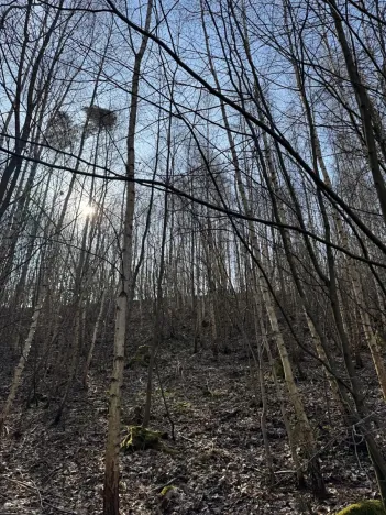 Prodej pozemku, Louňovice pod Blaníkem, 23891 m2